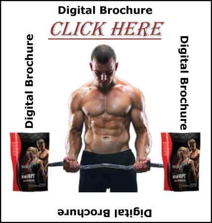 Digital Brochure - Ript